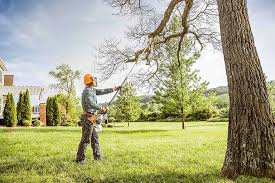 Best Tree Maintenance Programs  in Carpentersvle, IL